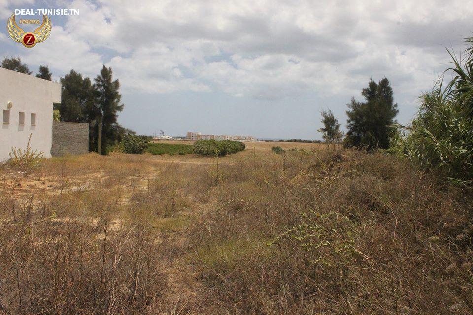 Image Annonce Deal-tunisie