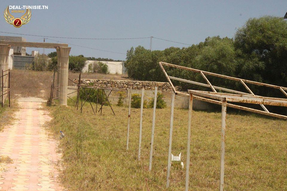 Image Annonce Deal-tunisie