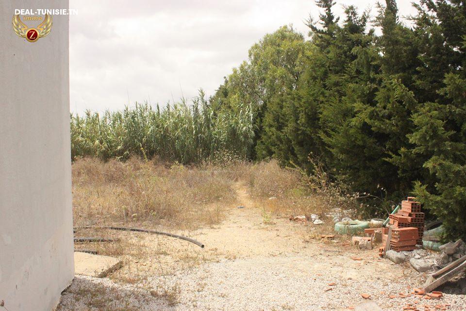 Image Annonce Deal-tunisie