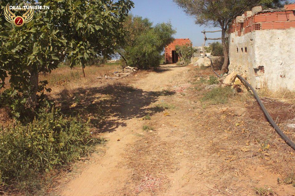 Image Annonce Deal-tunisie