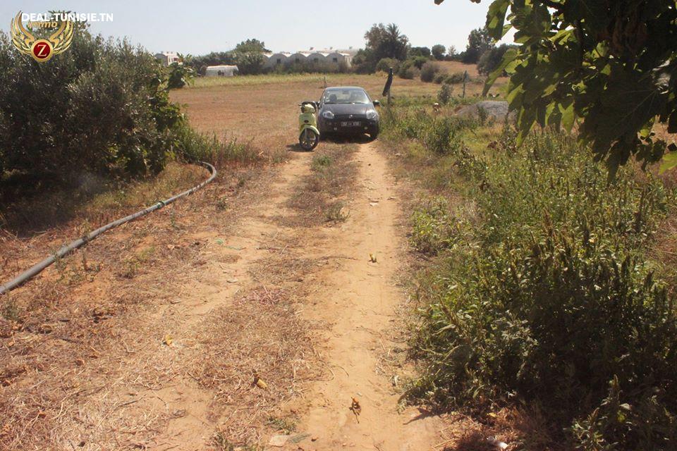 Image Annonce Deal-tunisie