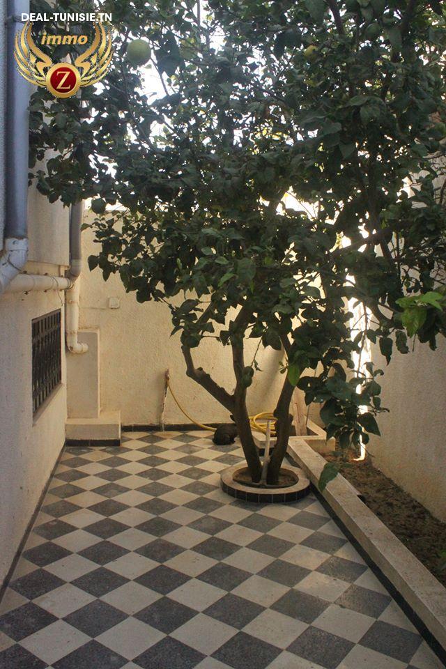 Image Annonce Deal-tunisie