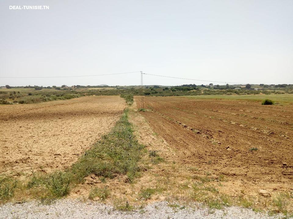 Image Annonce Deal-tunisie