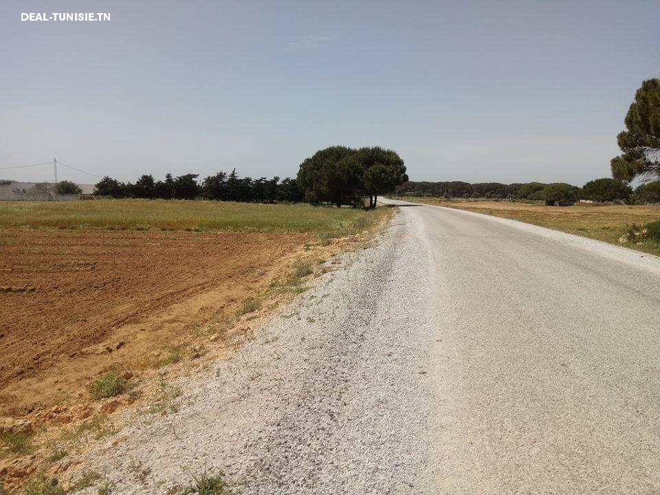 Image Annonce Deal-tunisie