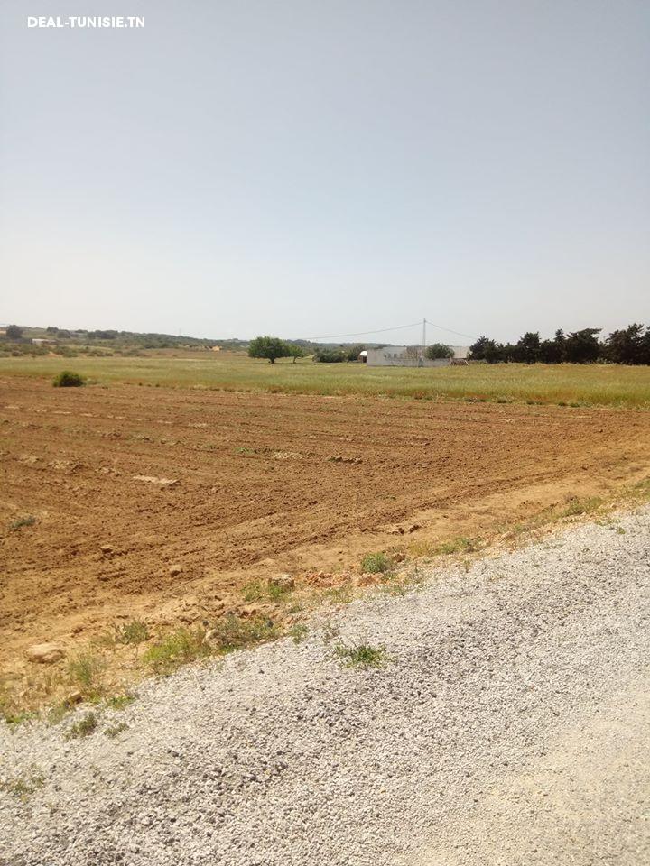 Image Annonce Deal-tunisie
