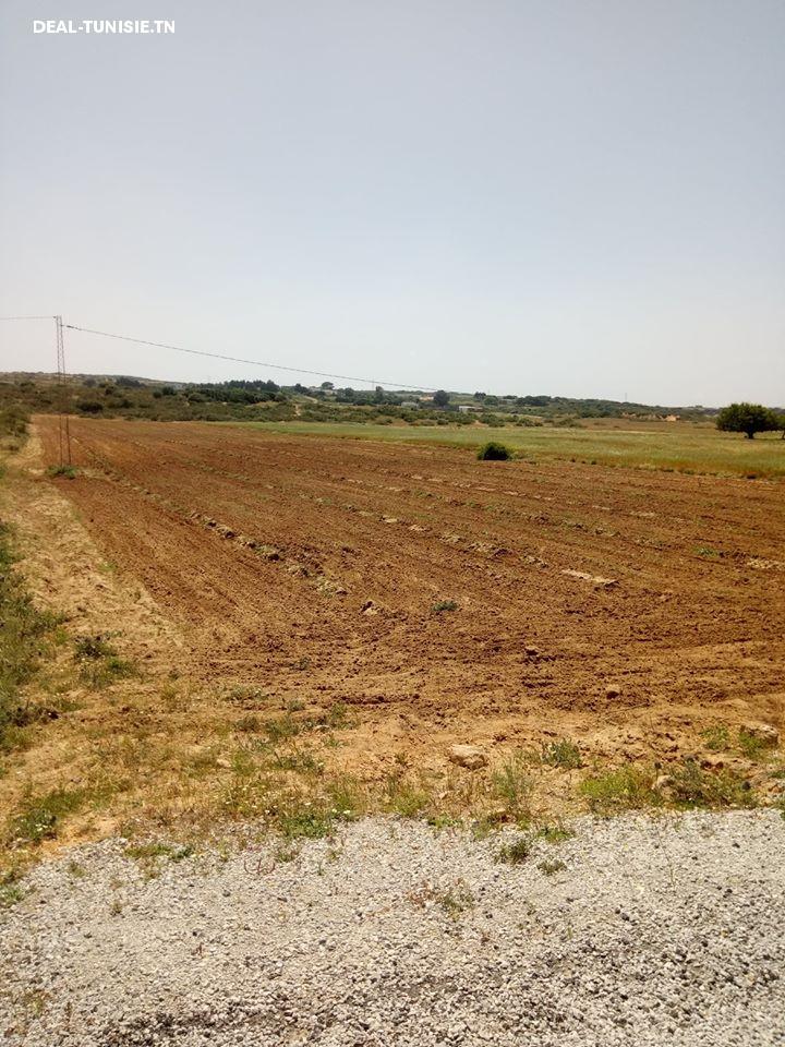 Image Annonce Deal-tunisie