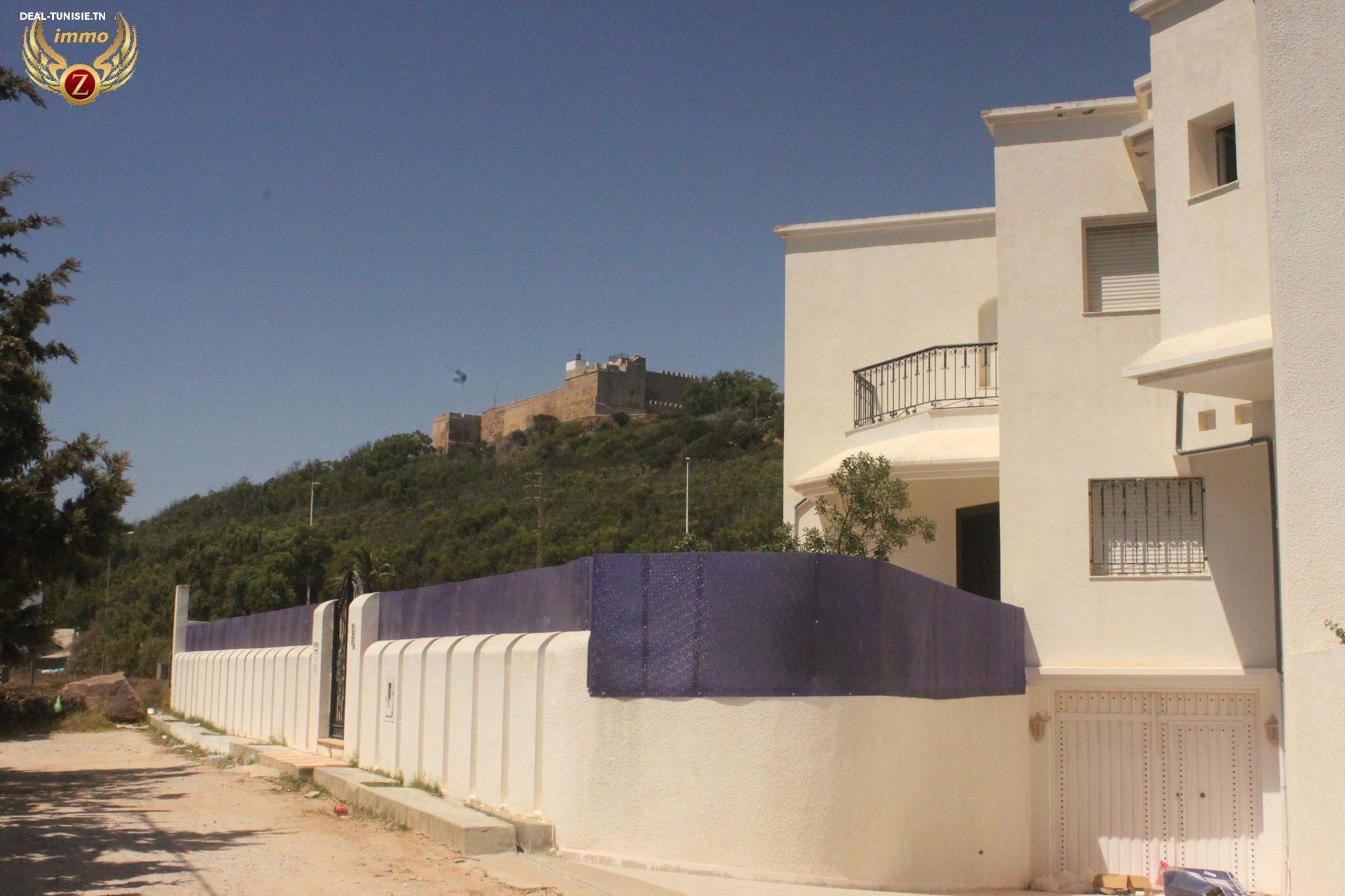 Image Annonce Deal-tunisie