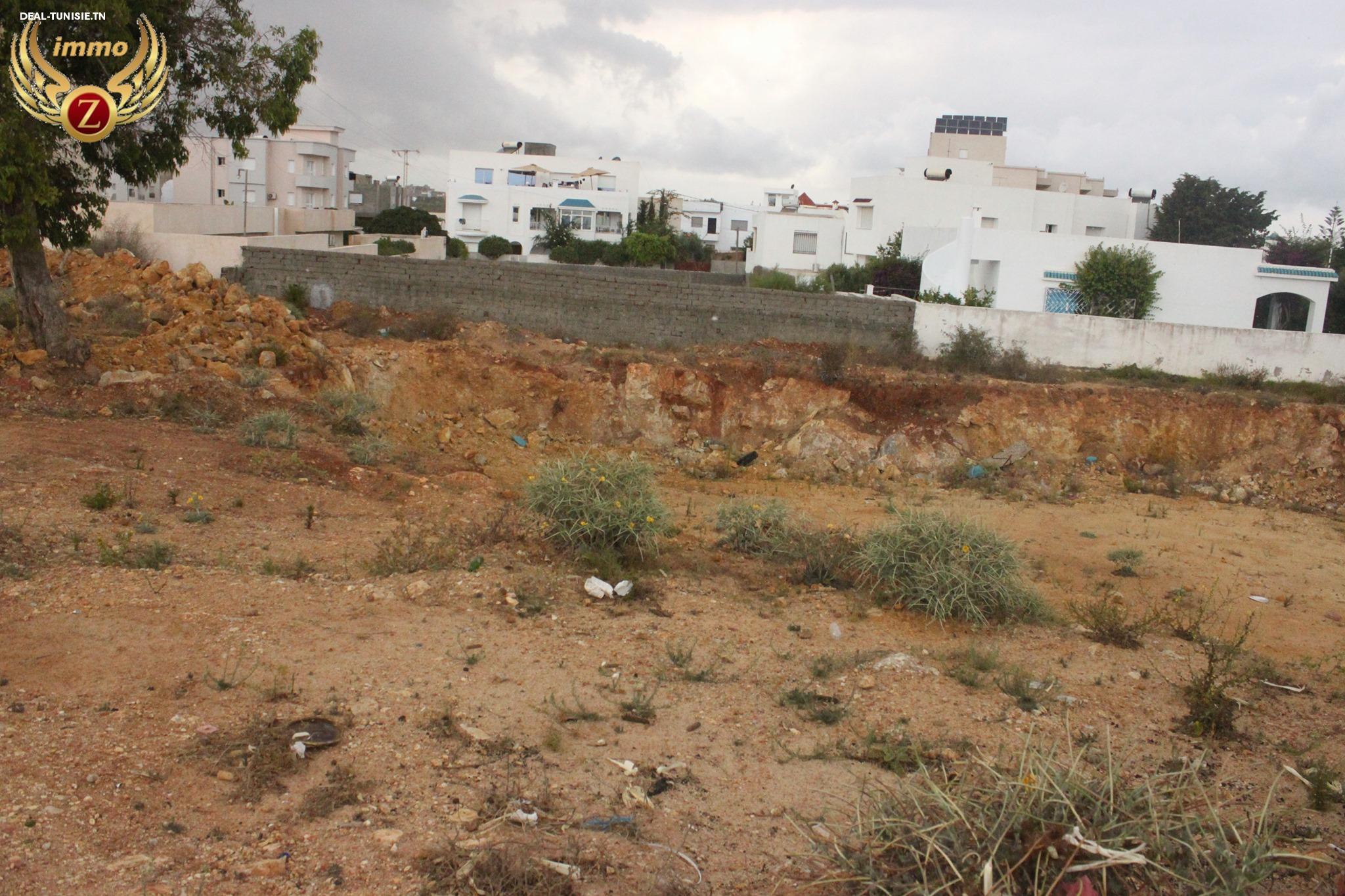 Image Annonce Deal-tunisie