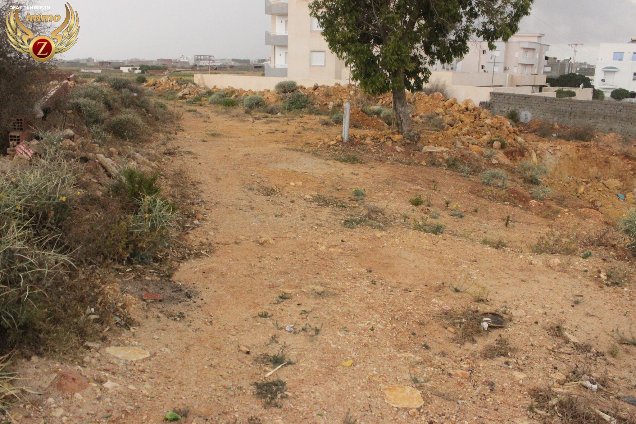 Image Annonce Deal-tunisie