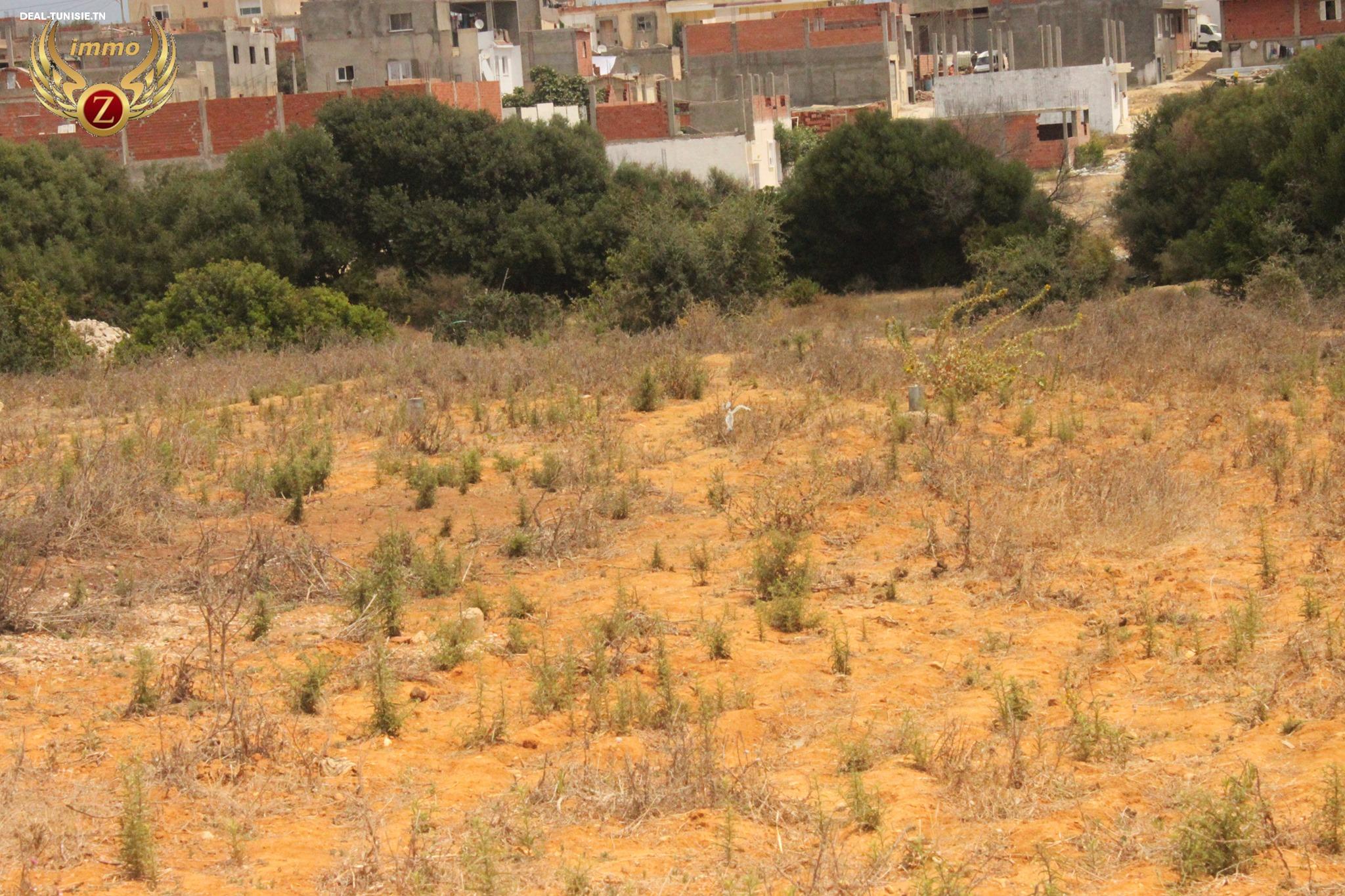 Image Annonce Deal-tunisie