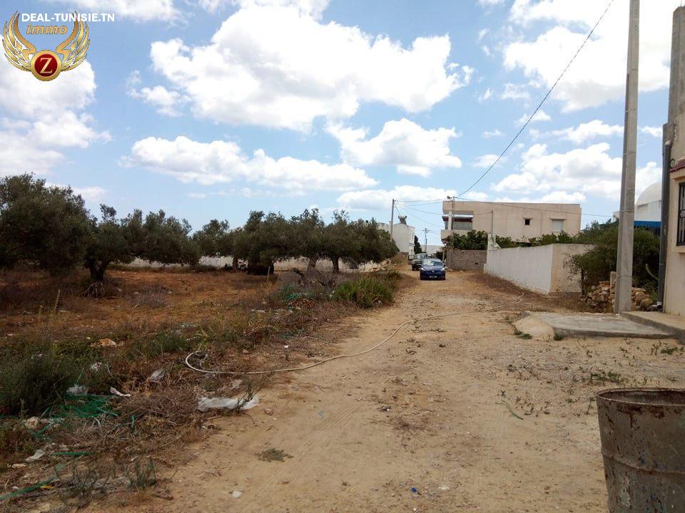deal tunisie annonce