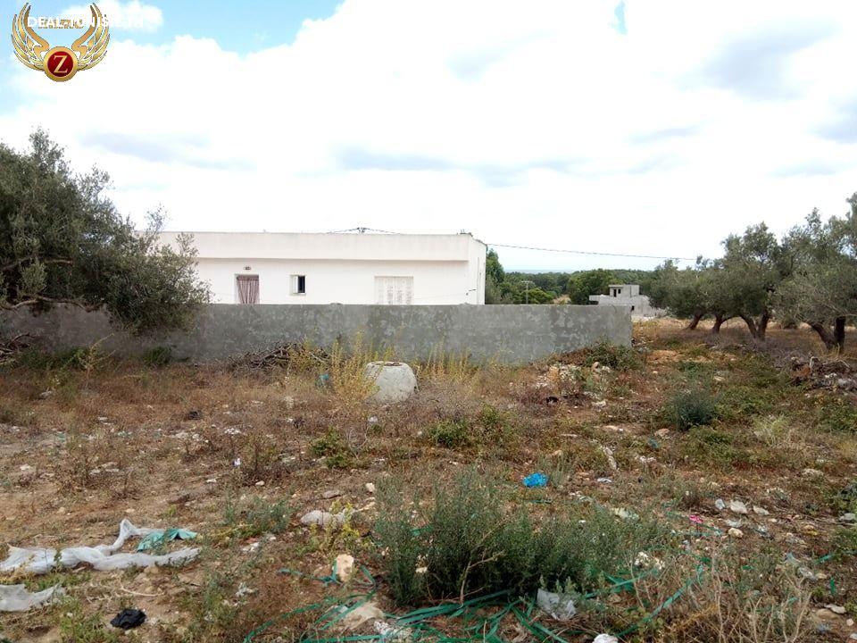 Image Annonce Deal-tunisie