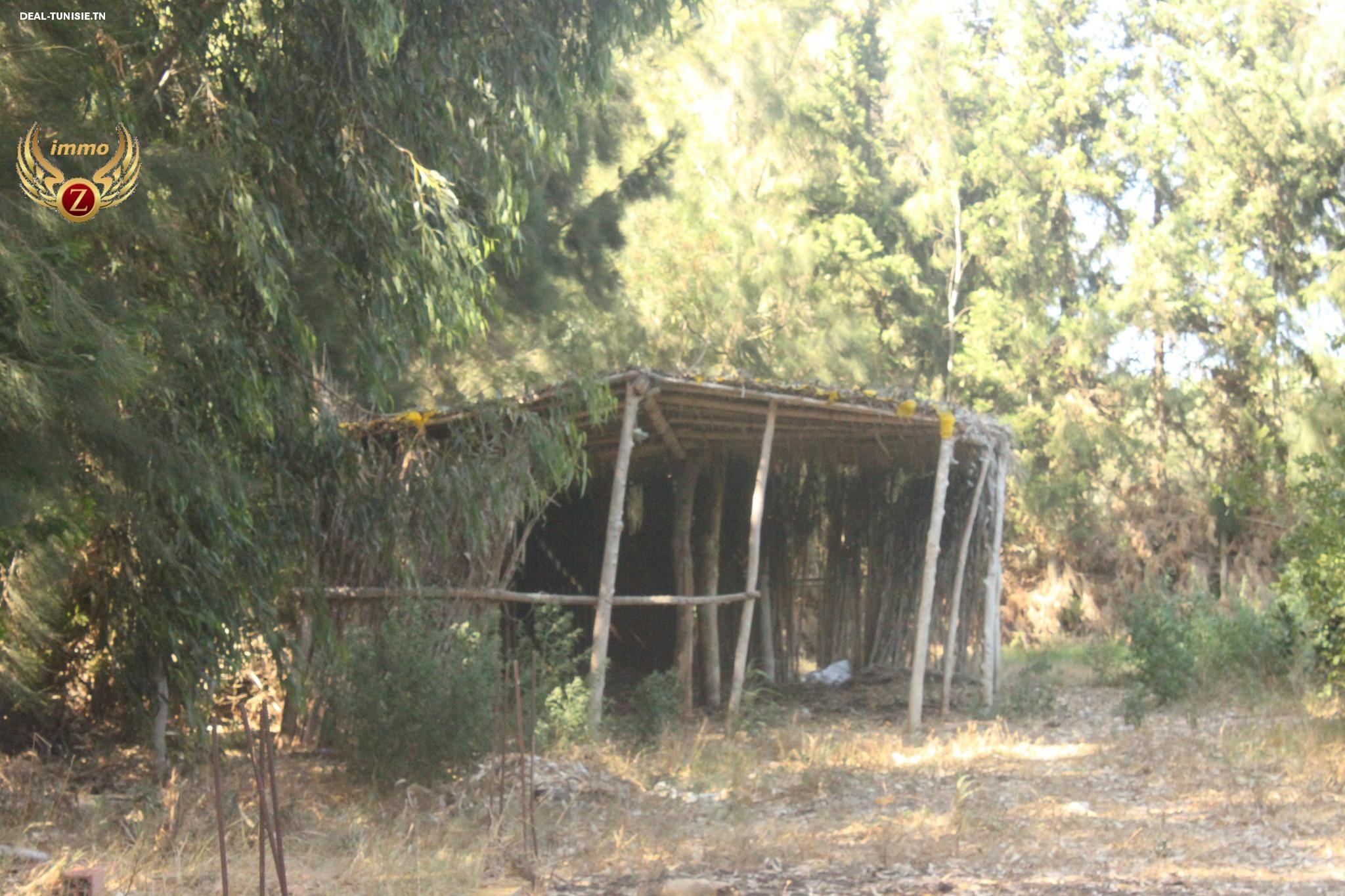 Image Annonce Deal-tunisie