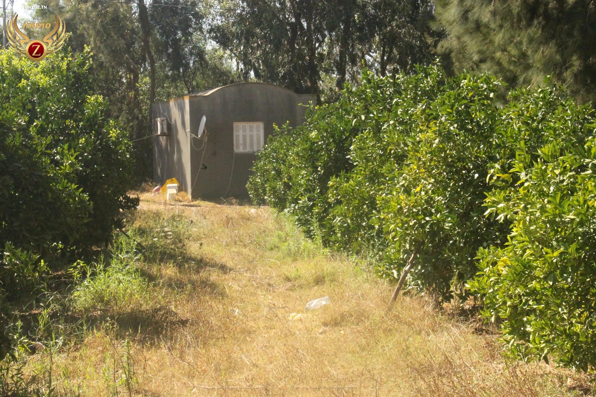 Image Annonce Deal-tunisie