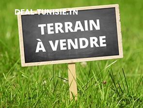 deal tunisie annonce