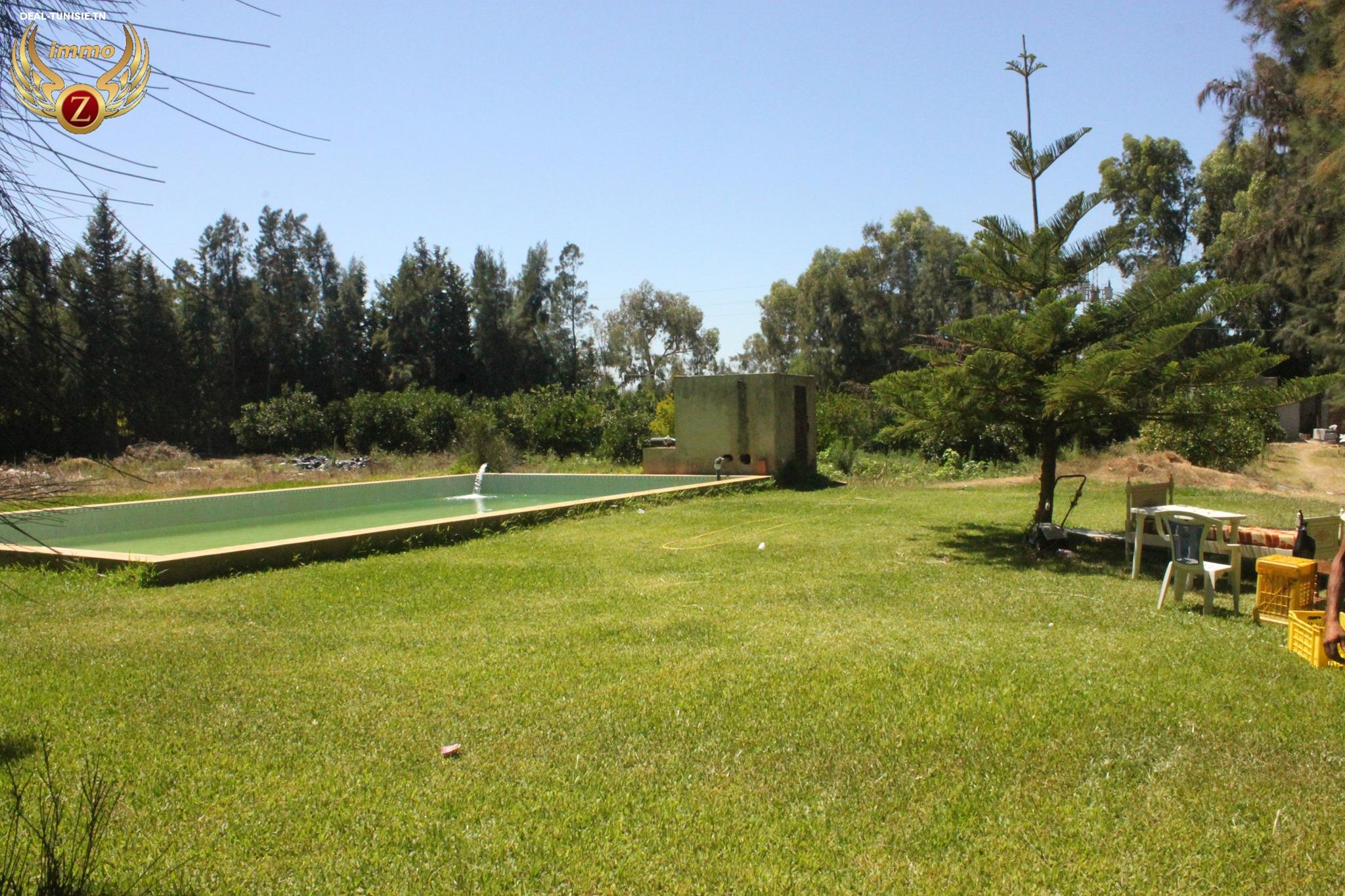 Image Annonce Deal-tunisie