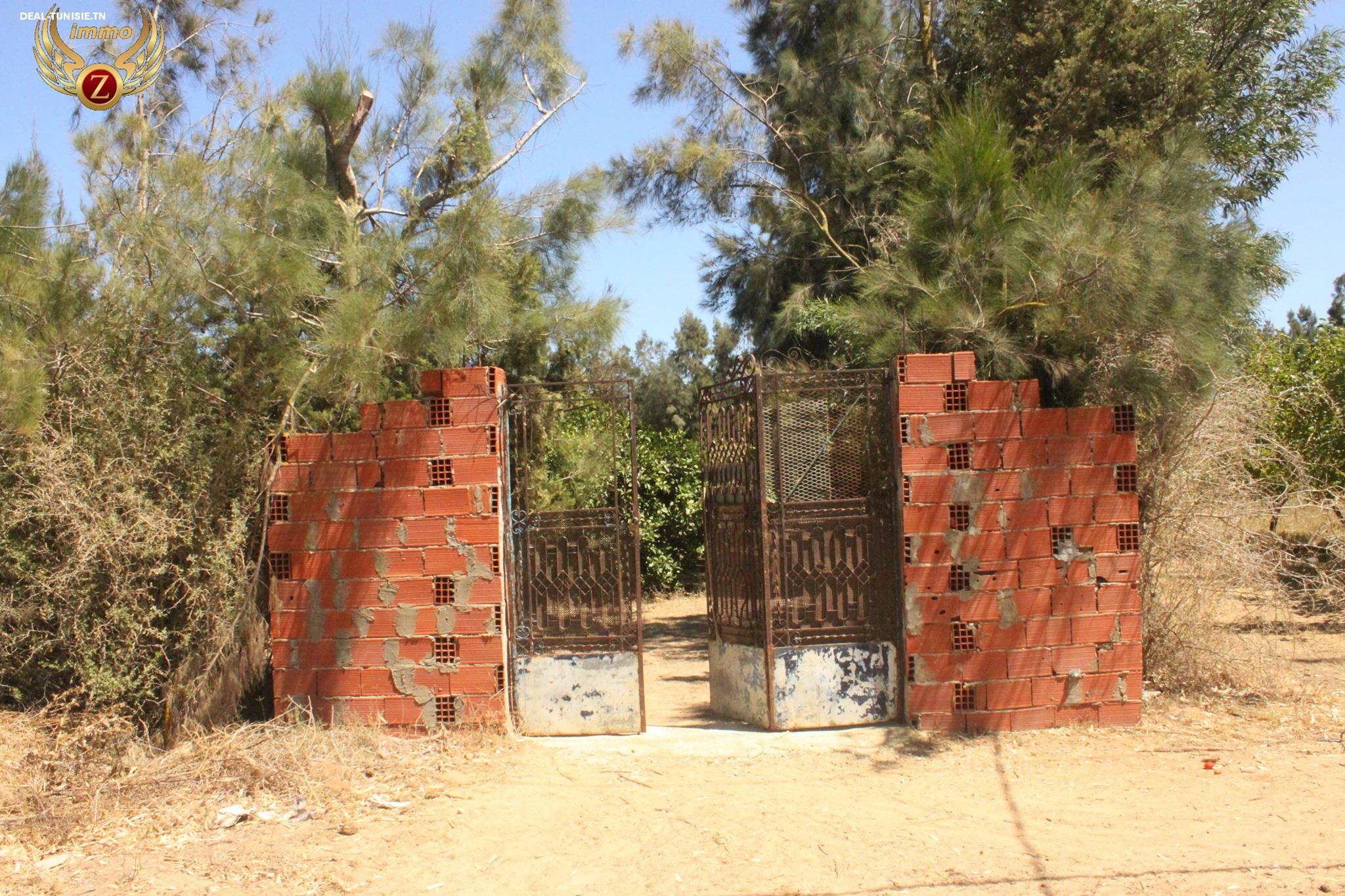 Image Annonce Deal-tunisie