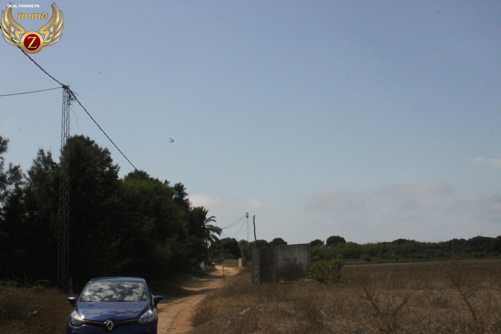 Image Annonce Deal-tunisie
