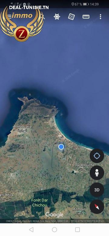 Image Annonce Deal-tunisie