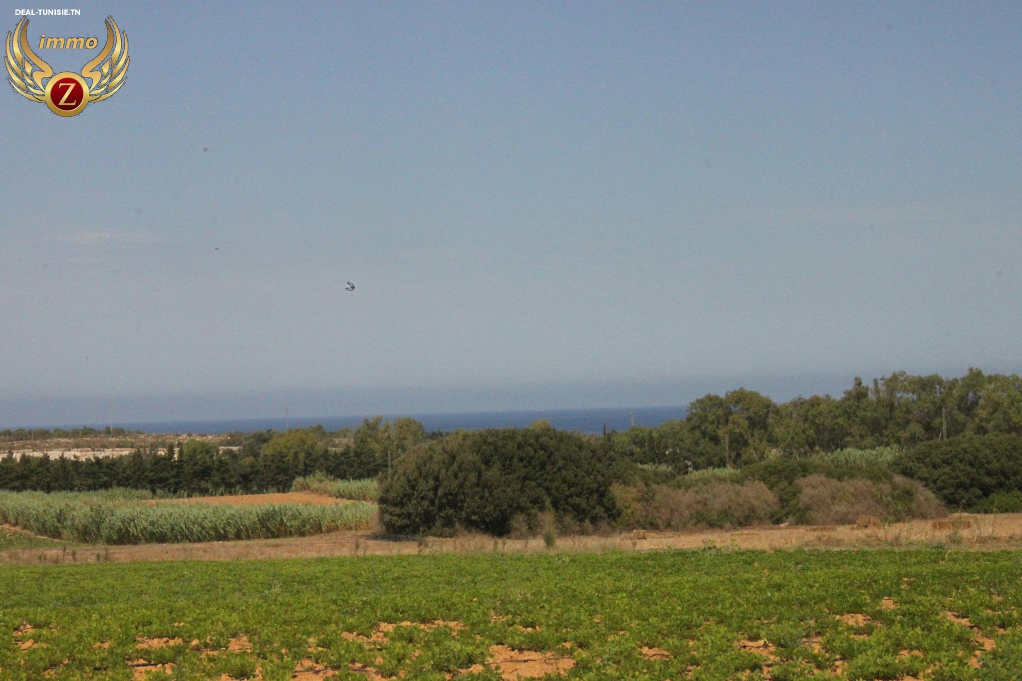 Image Annonce Deal-tunisie