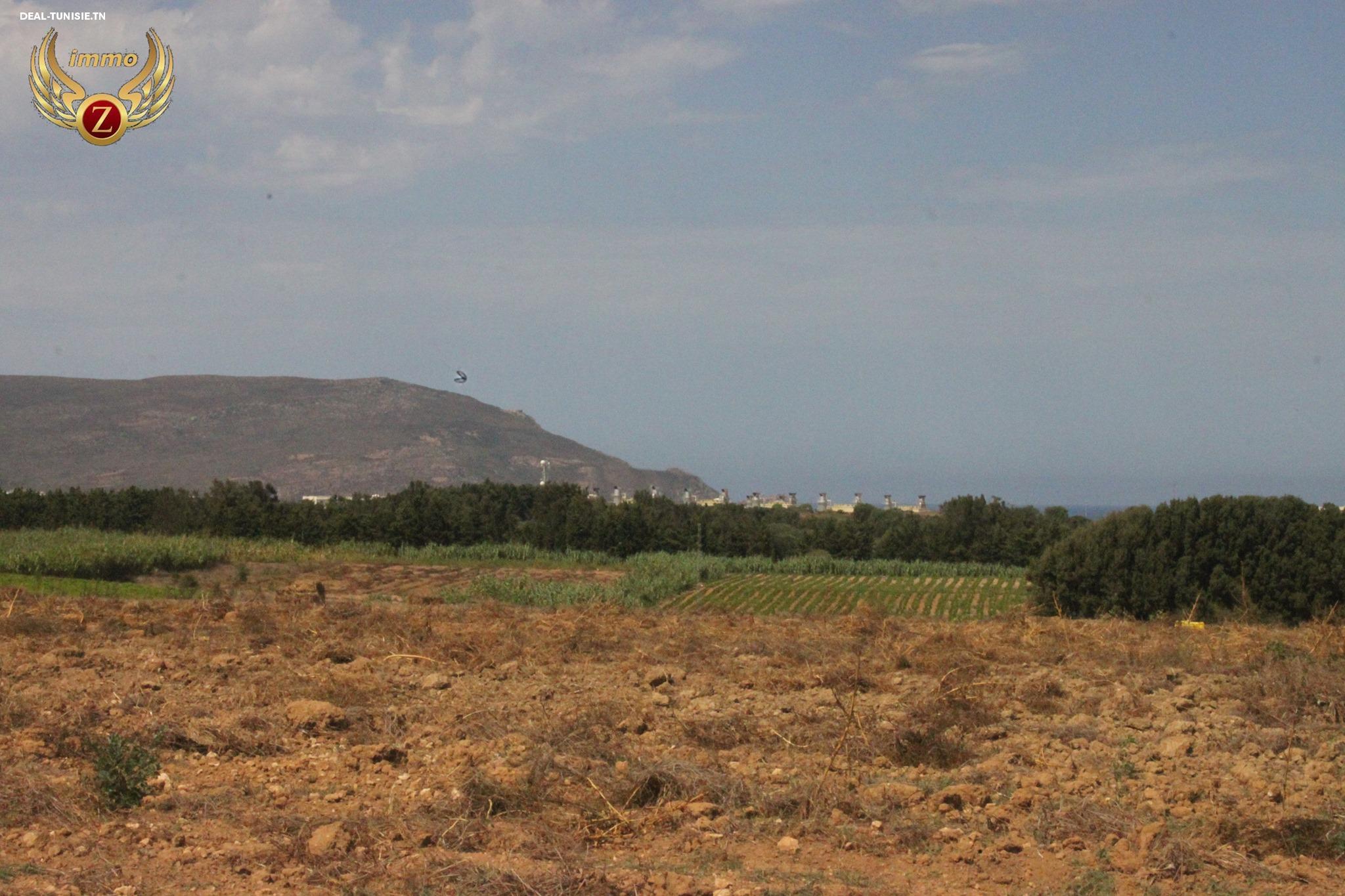 Image Annonce Deal-tunisie