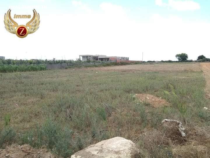 Image Annonce Deal-tunisie