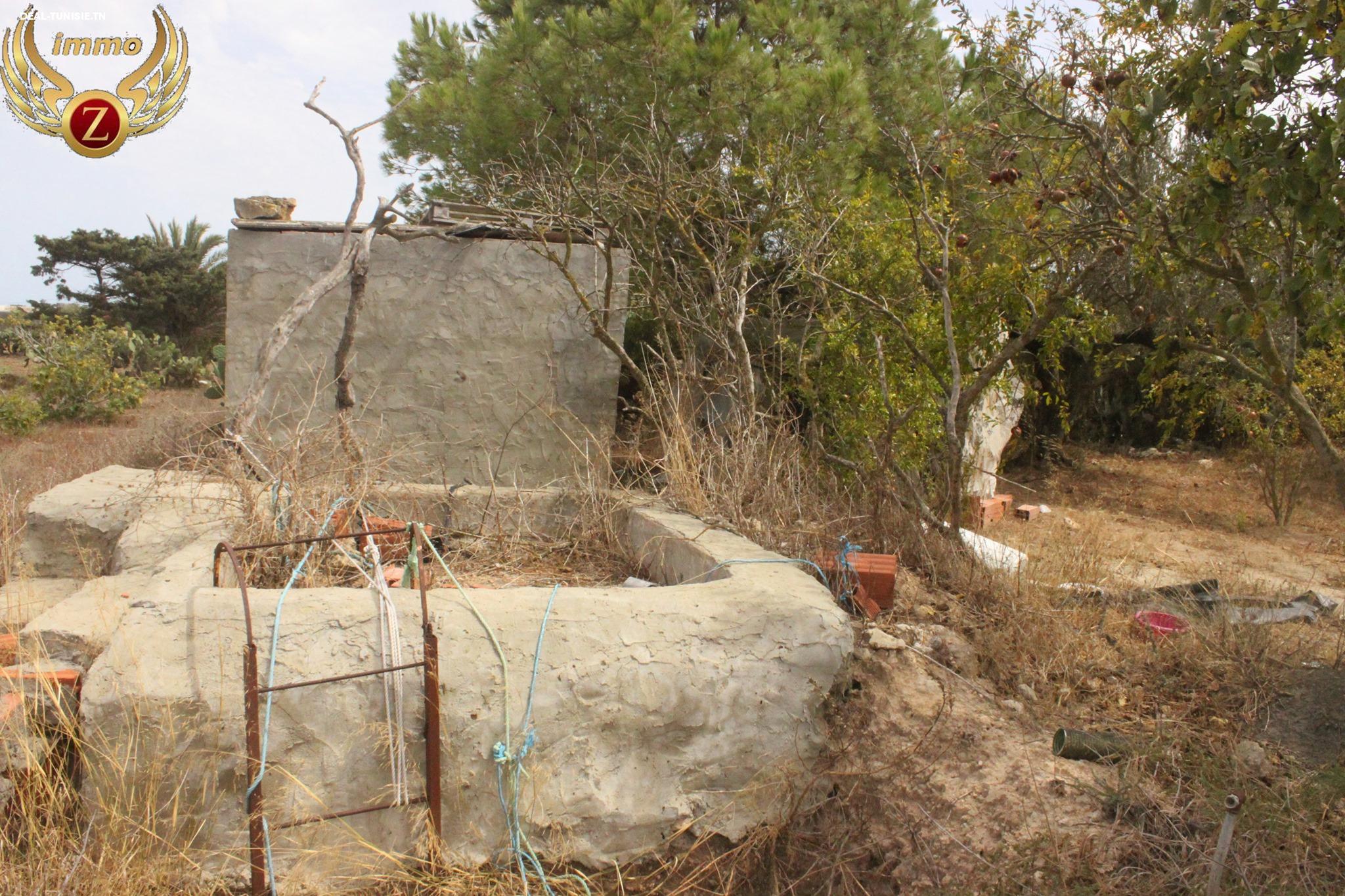 Image Annonce Deal-tunisie