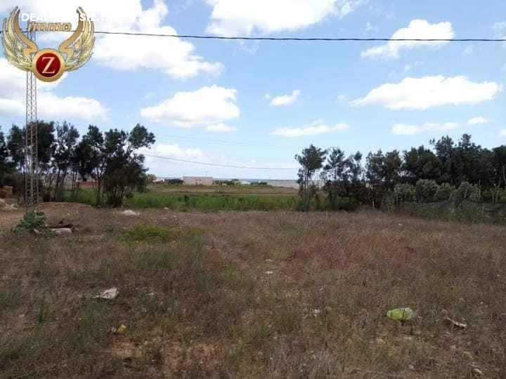 Image Annonce Deal-tunisie