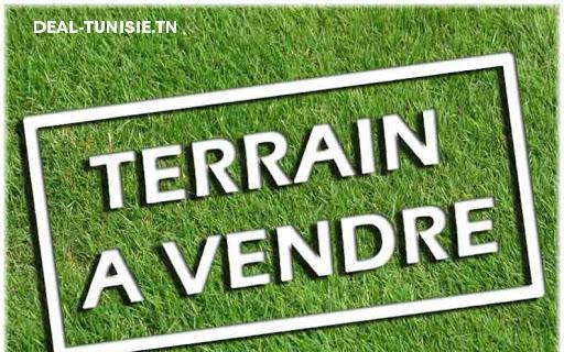 deal tunisie annonce