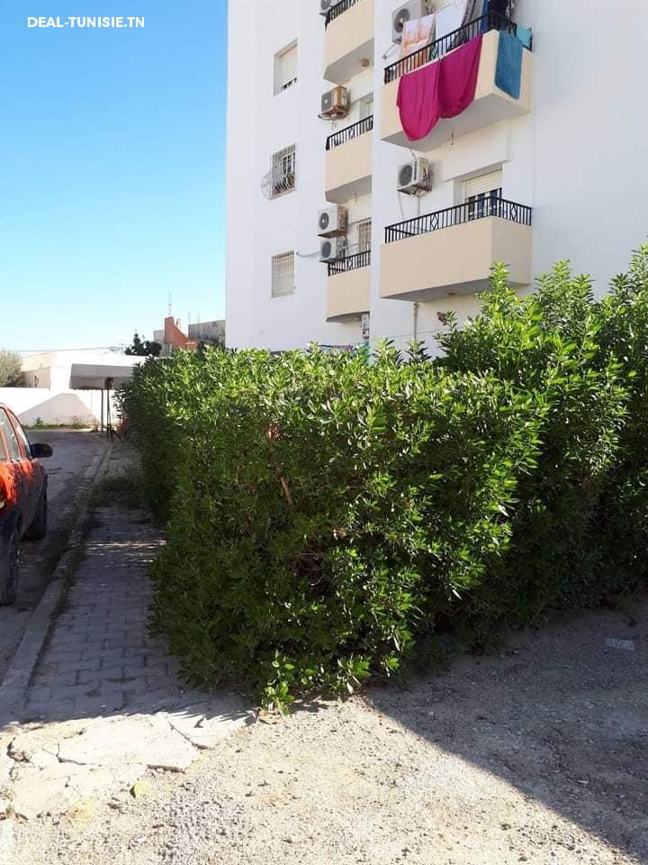 Image Annonce Deal-tunisie