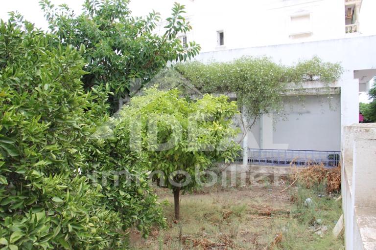 Image Annonce Deal-tunisie