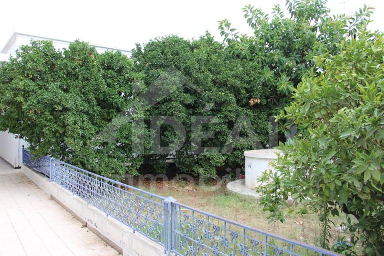 Image Annonce Deal-tunisie