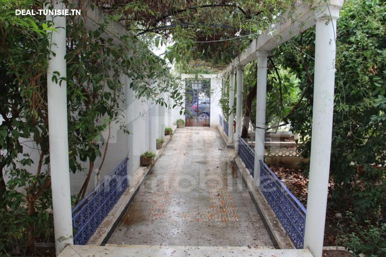 Image Annonce Deal-tunisie