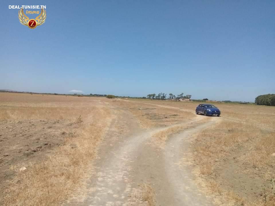 Image Annonce Deal-tunisie