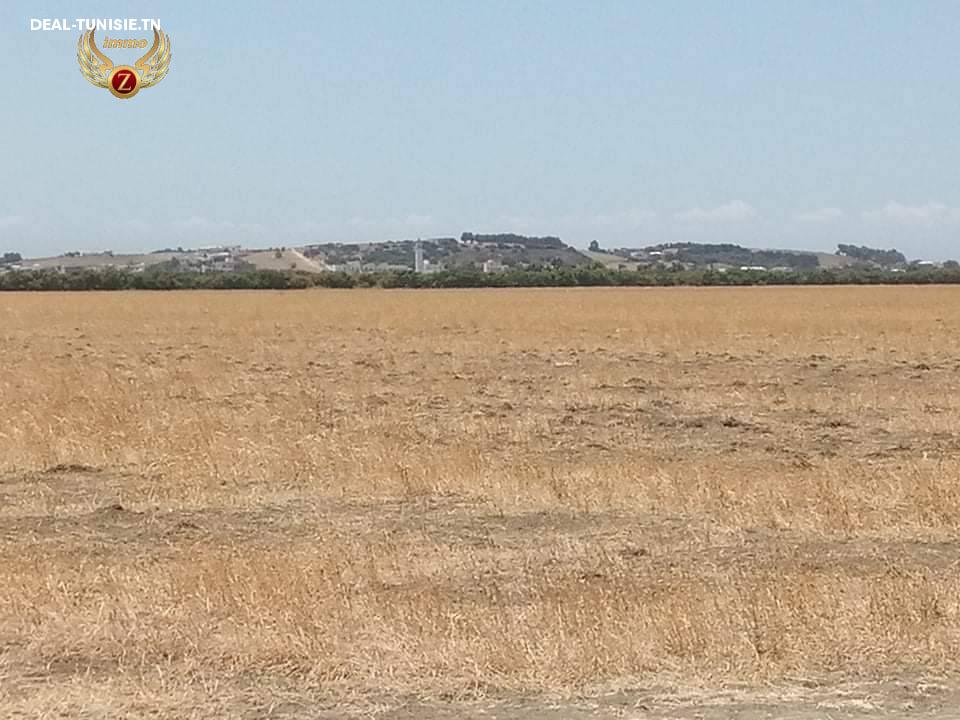 Image Annonce Deal-tunisie