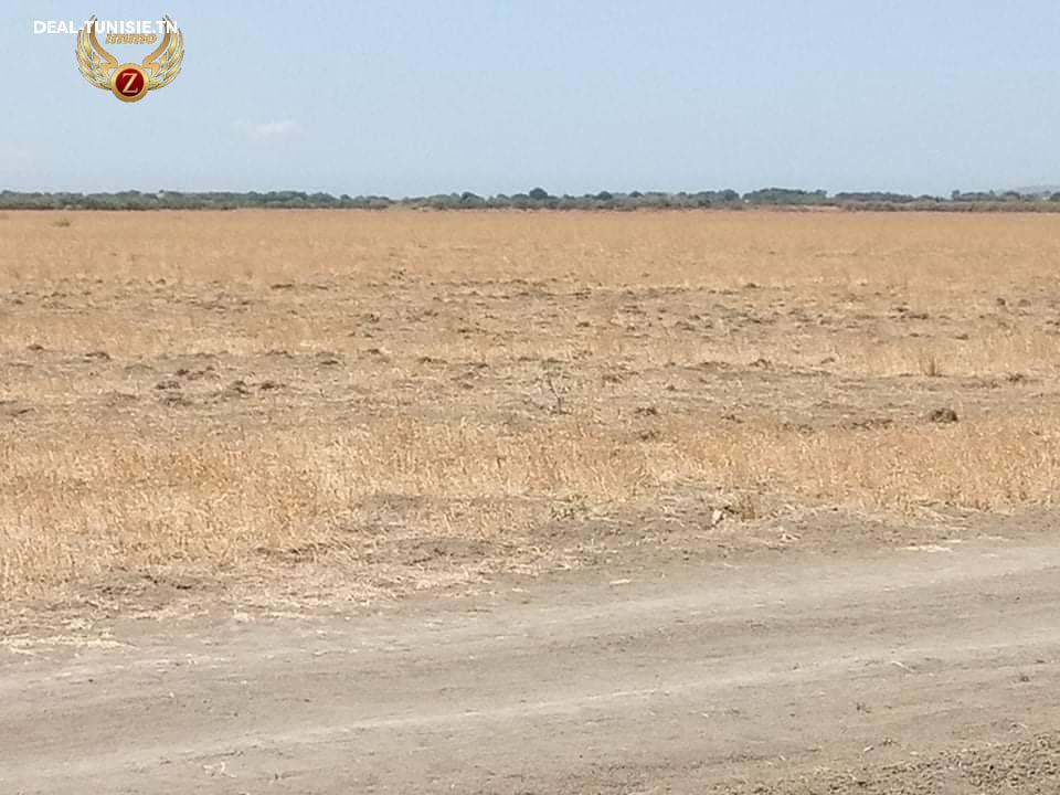 Image Annonce Deal-tunisie
