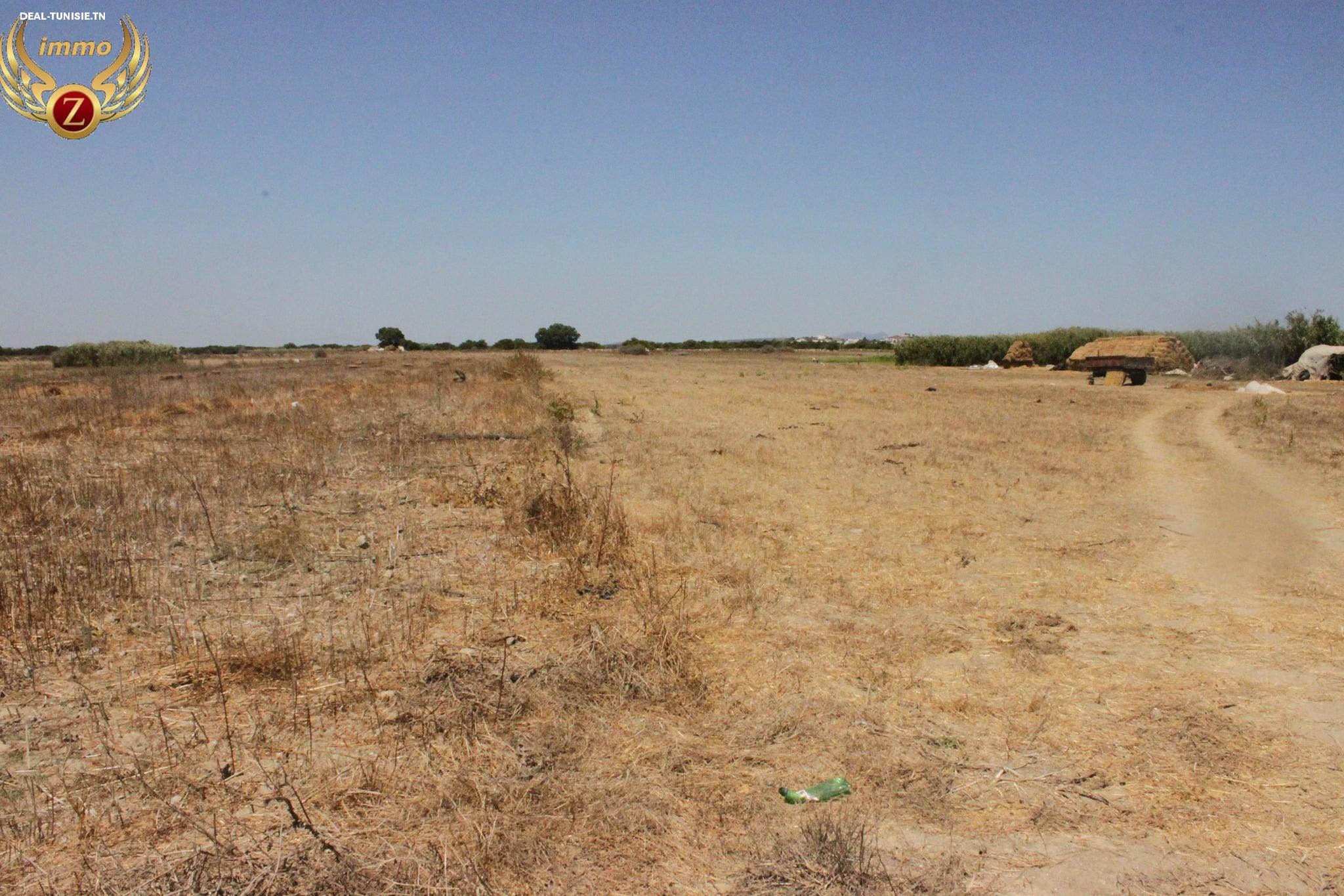 Image Annonce Deal-tunisie