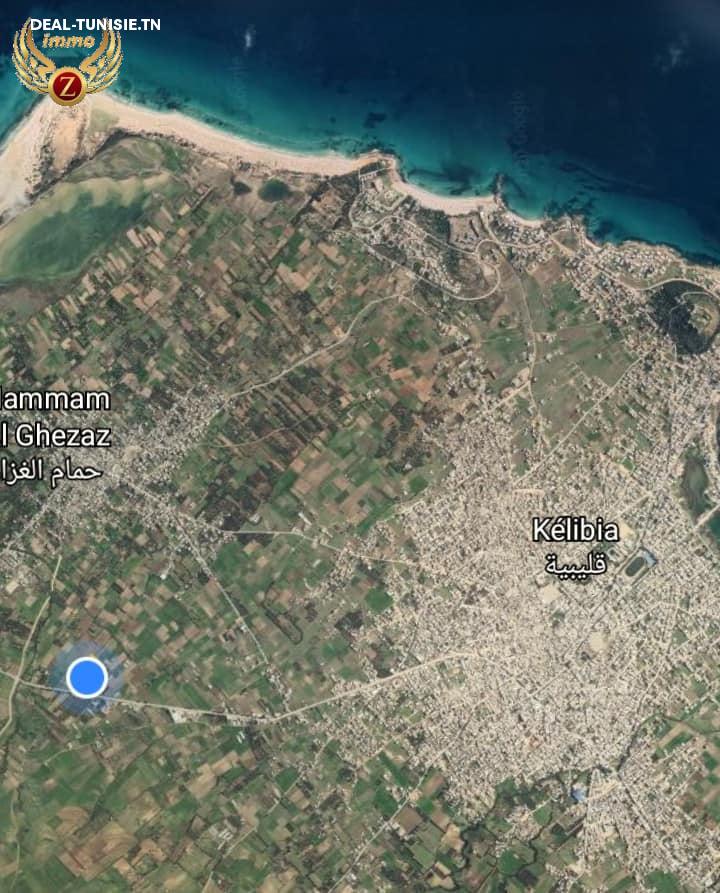 Image Annonce Deal-tunisie
