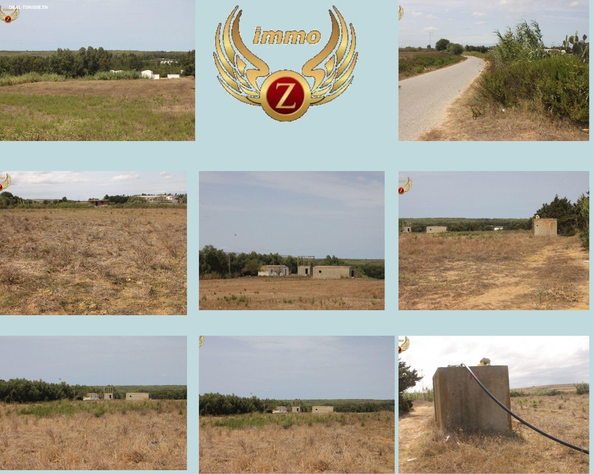 deal tunisie annonce