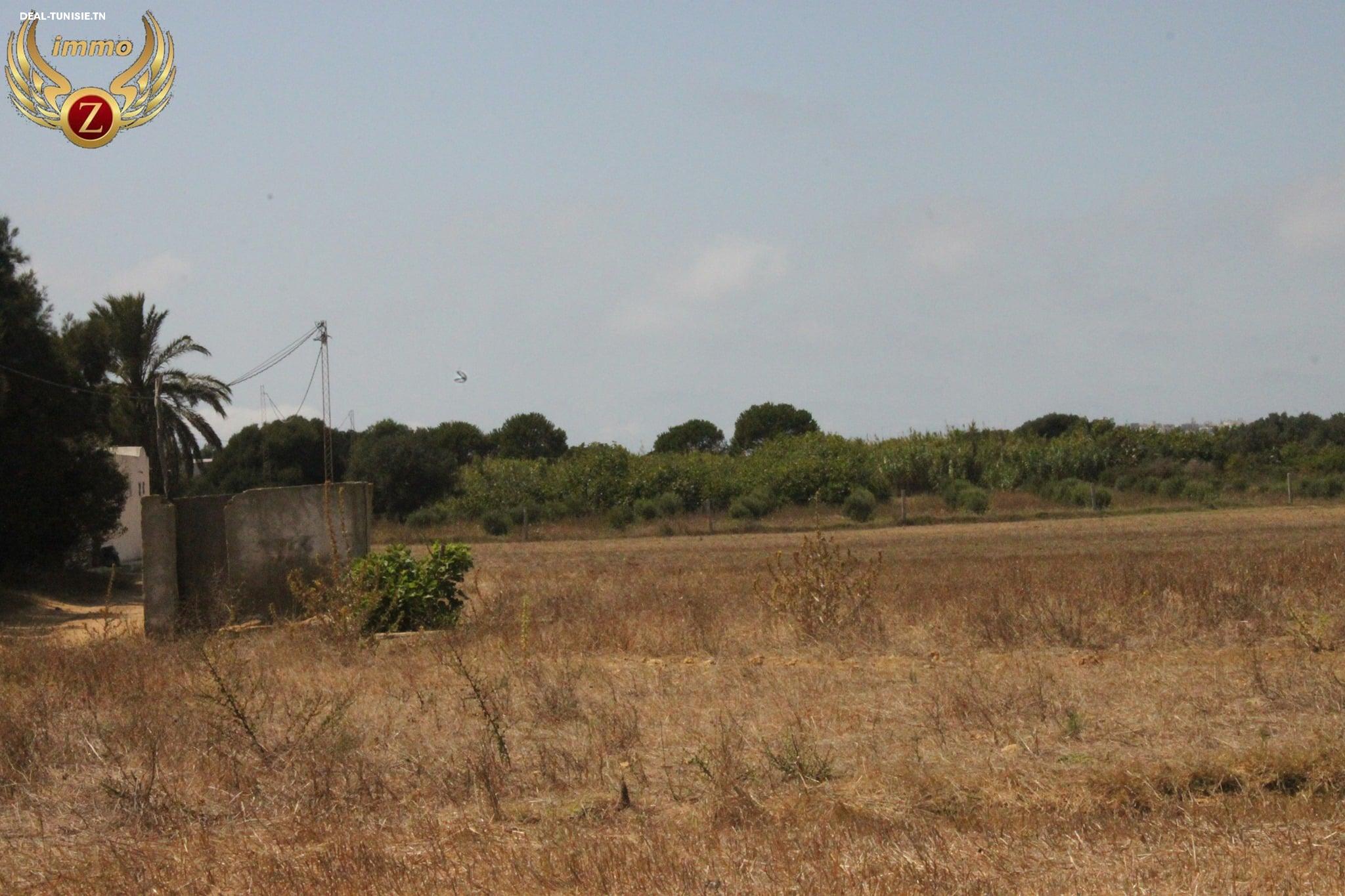 Image Annonce Deal-tunisie