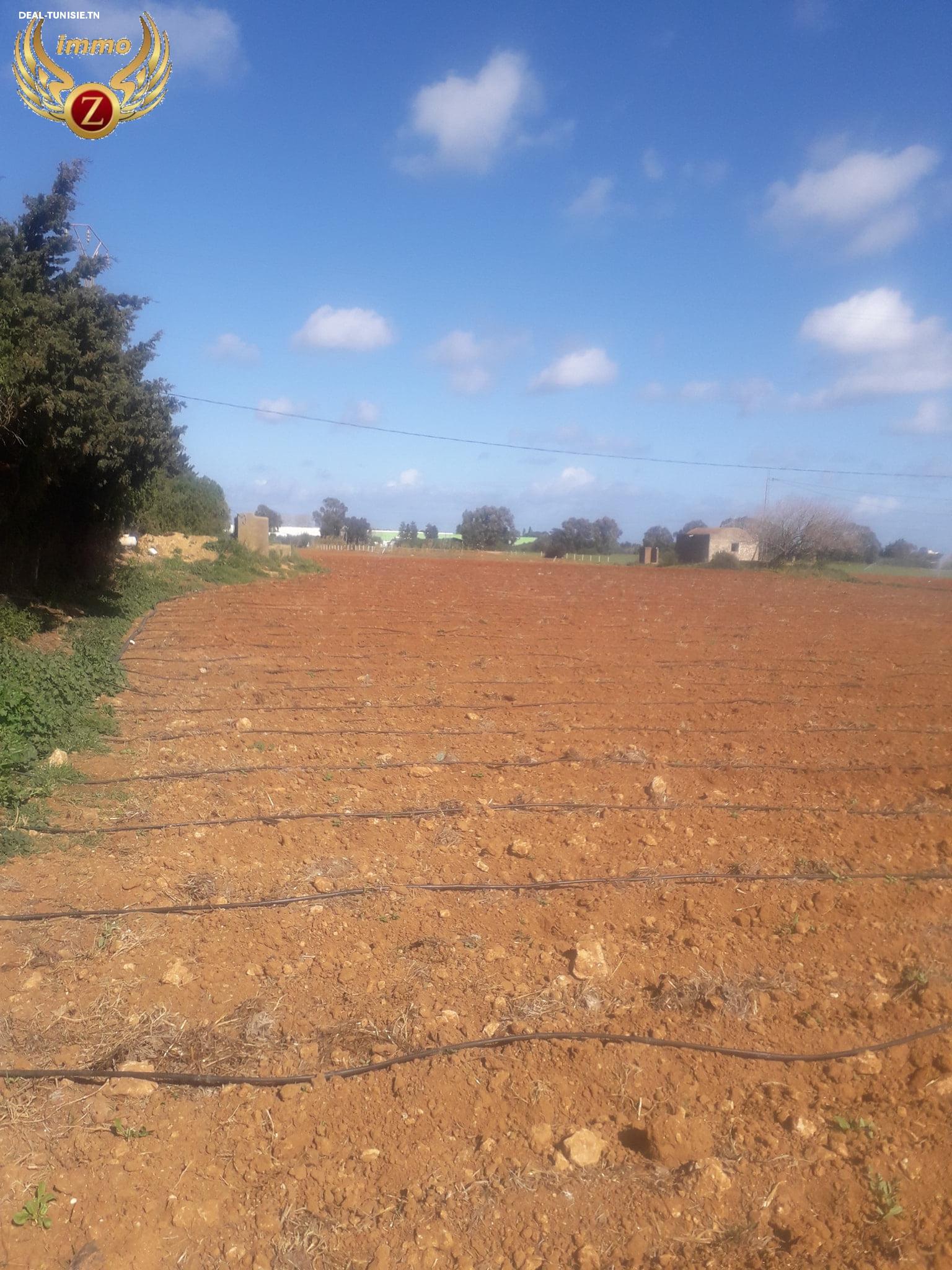 Image Annonce Deal-tunisie