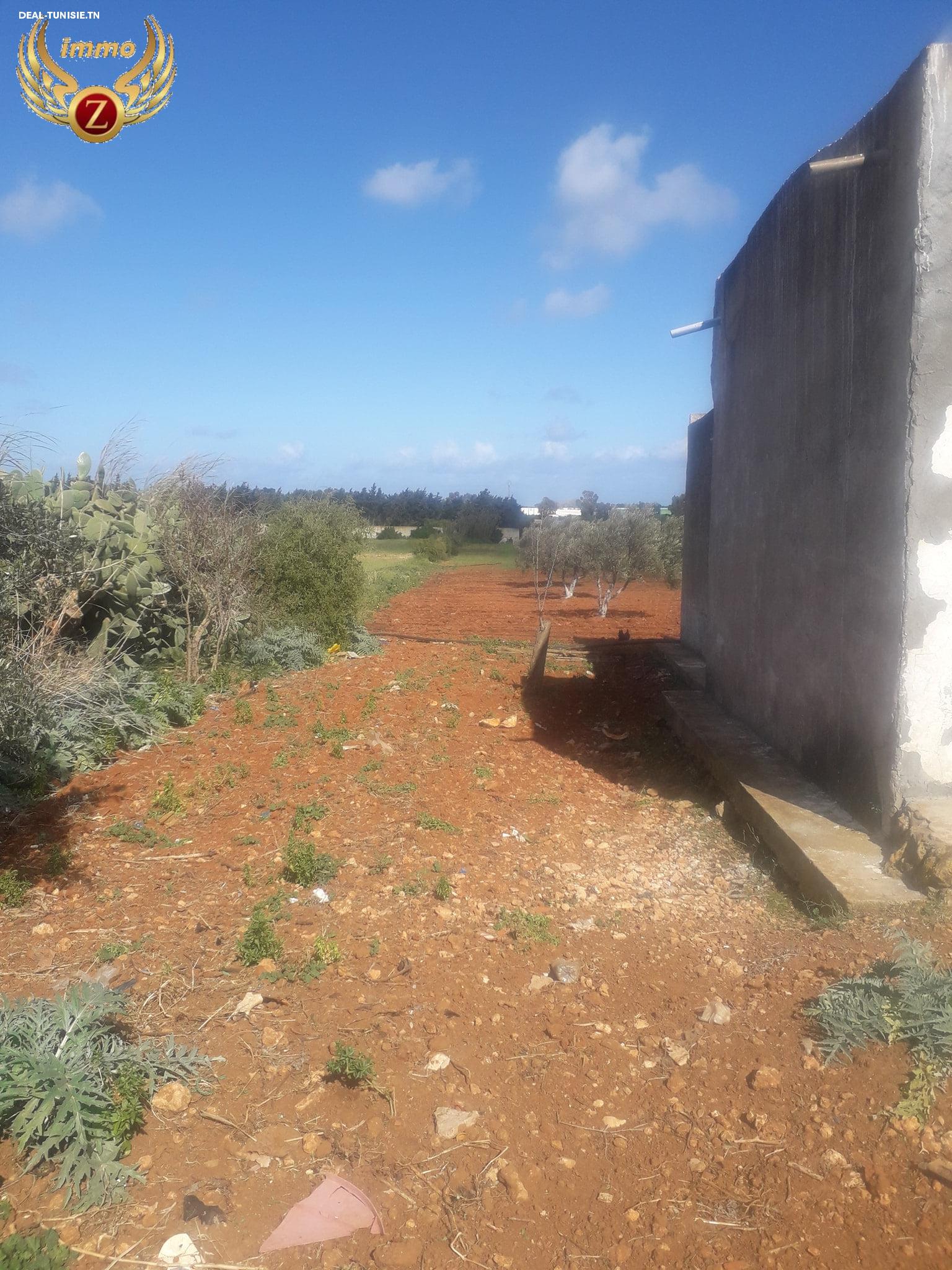 Image Annonce Deal-tunisie
