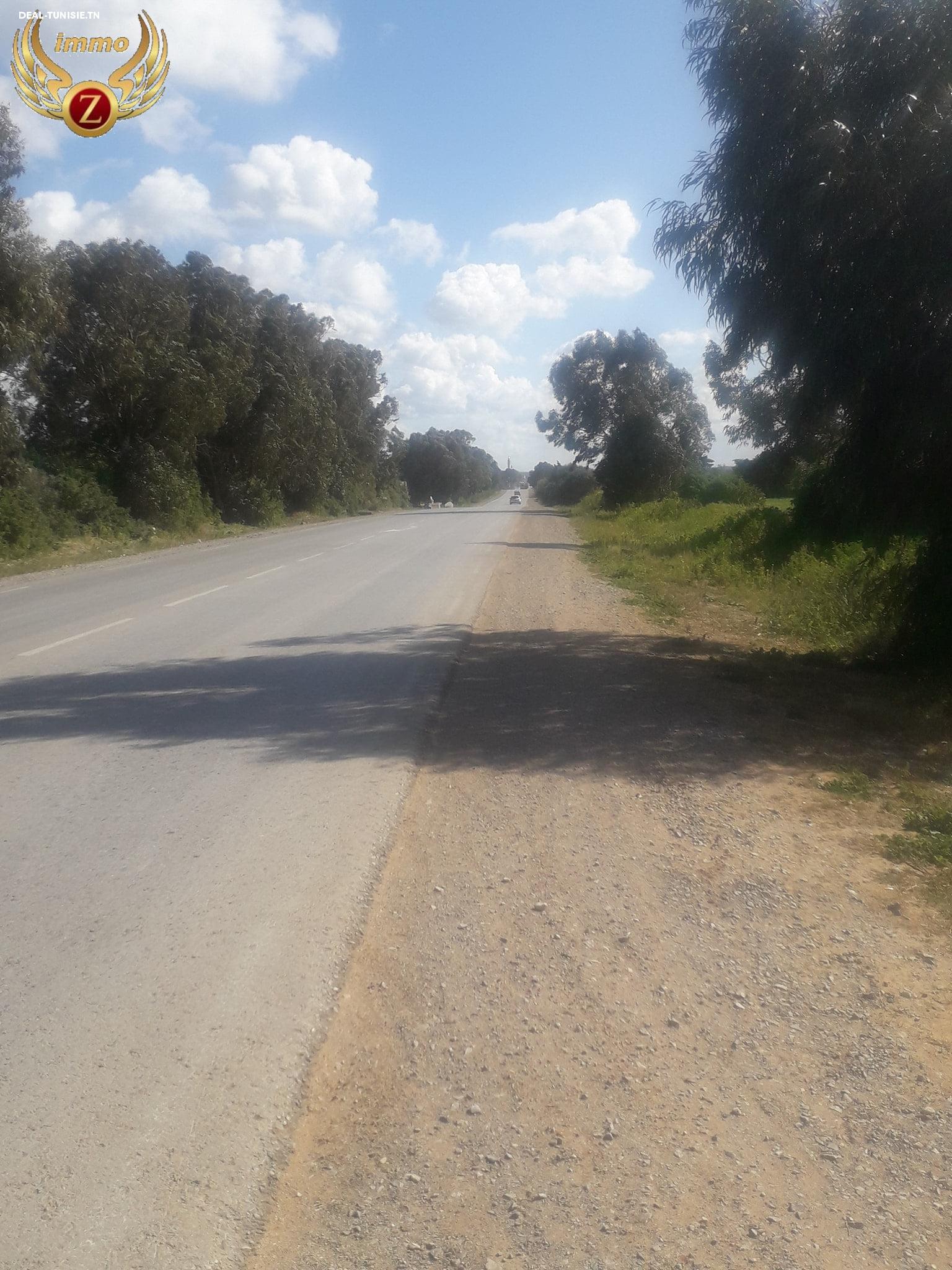 Image Annonce Deal-tunisie