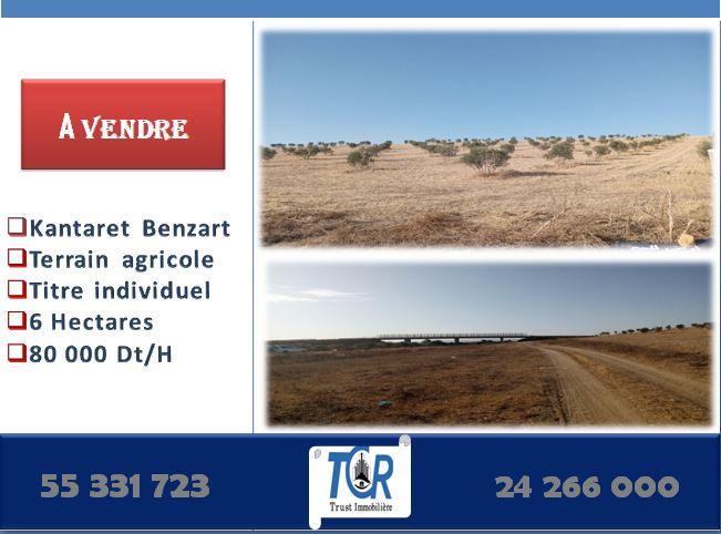 deal tunisie annonce