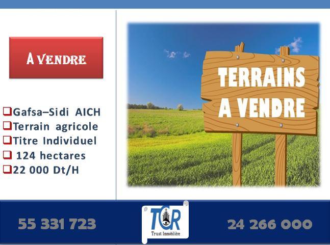 deal tunisie annonce