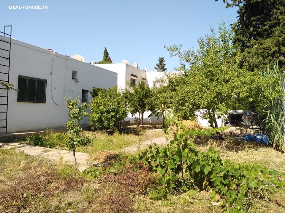 Image Annonce Deal-tunisie