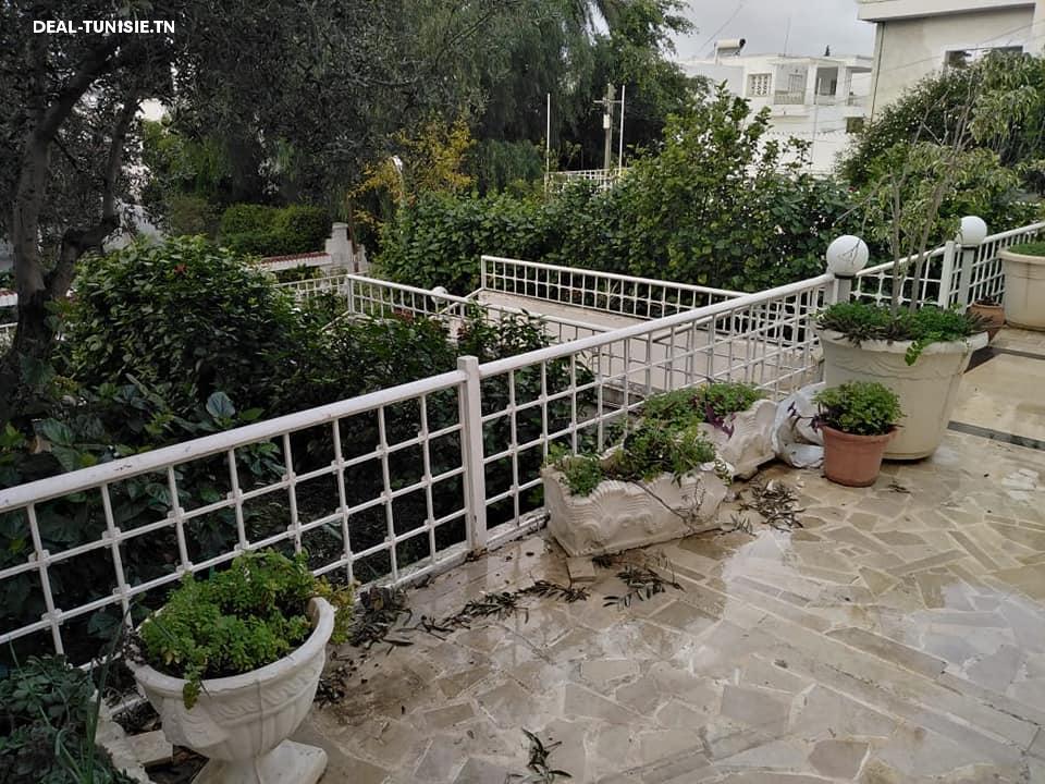 Image Annonce Deal-tunisie