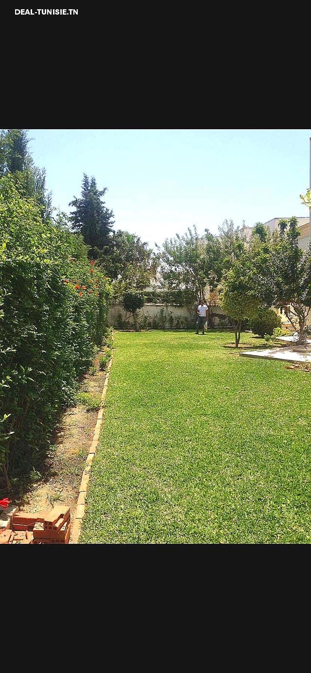 Image Annonce Deal-tunisie