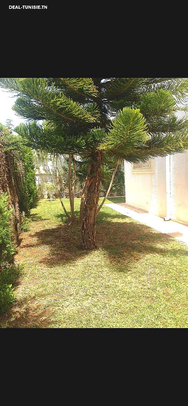 Image Annonce Deal-tunisie