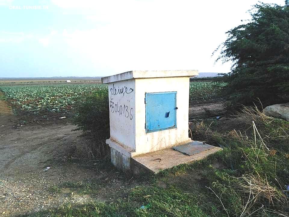 Image Annonce Deal-tunisie